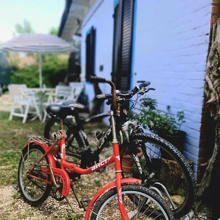 Appartamento Loft Immerso Nel Bosco *